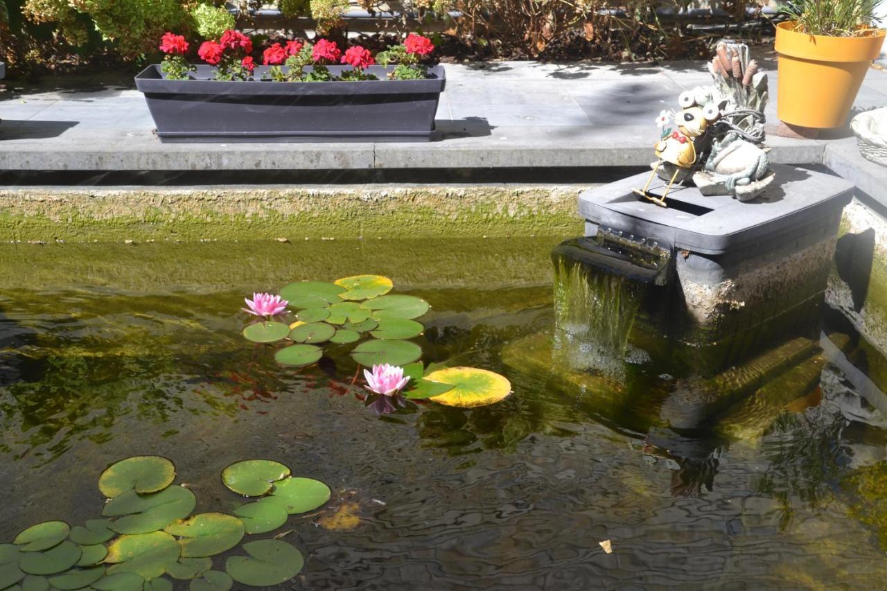 伊普尔Ter Thuyne住宿加早餐旅馆 外观 照片